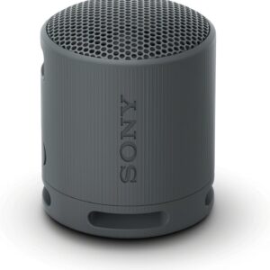 Parlante Sony SRS-XB100 Bluetooth Portátil IP67 16H Batería